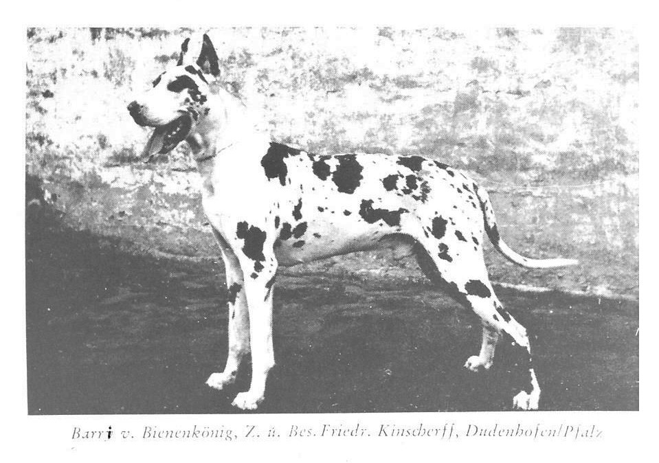 Barri v Bienenkonig